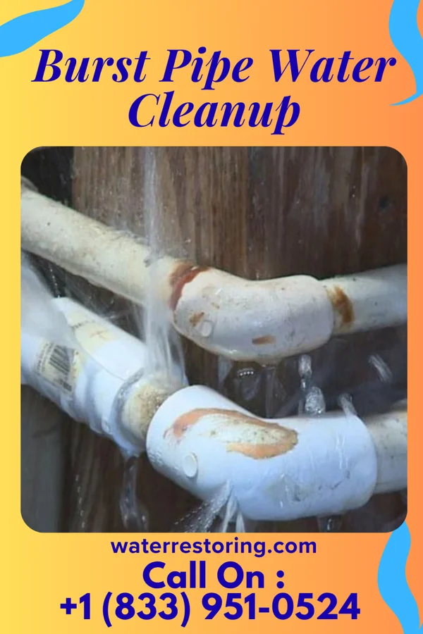 Burst Pipe Water Cleanup in Maplewood Park, OH