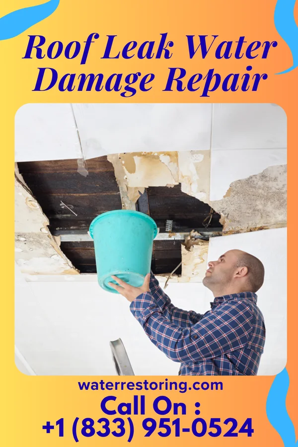 Roof Leak Water Damage Repair in Maplewood Park, OH