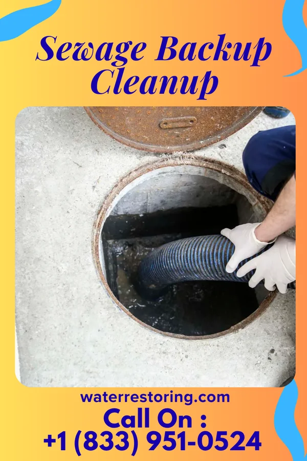 Sewage Backup Cleanup in Maplewood Park, OH