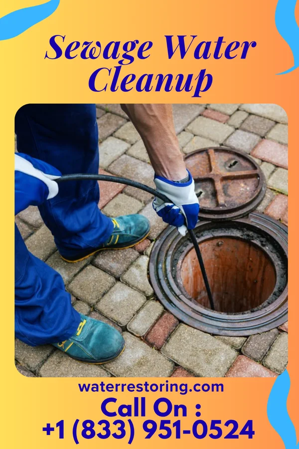 Sewage Water Cleanup in Maplewood Park, OH
