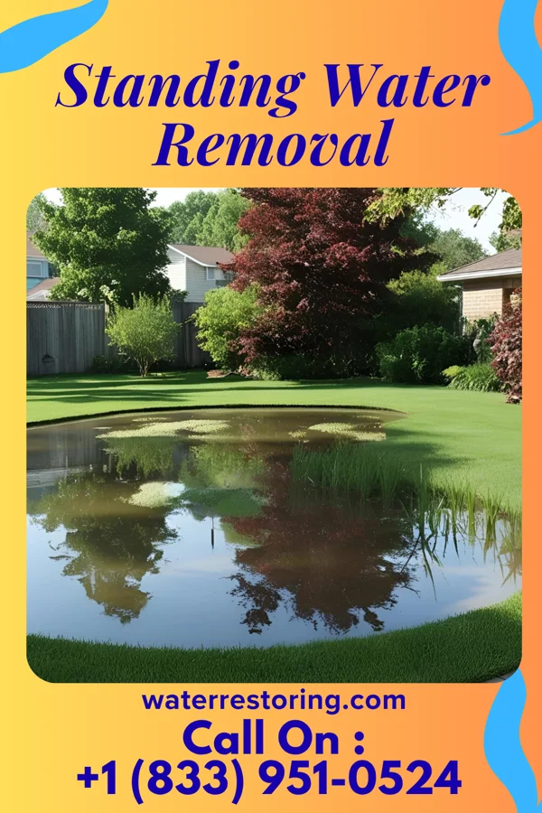 Standing Water Removal in Maplewood Park, OH